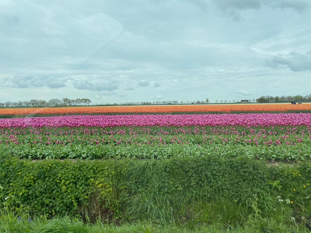 krabbenkreek 2 Villa Sint Annaland Kültér fotó