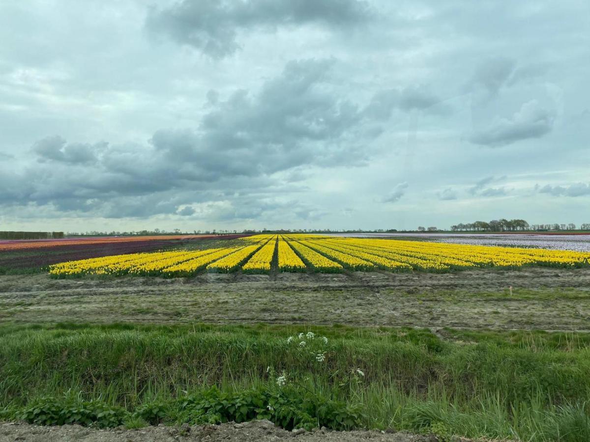 krabbenkreek 2 Villa Sint Annaland Kültér fotó