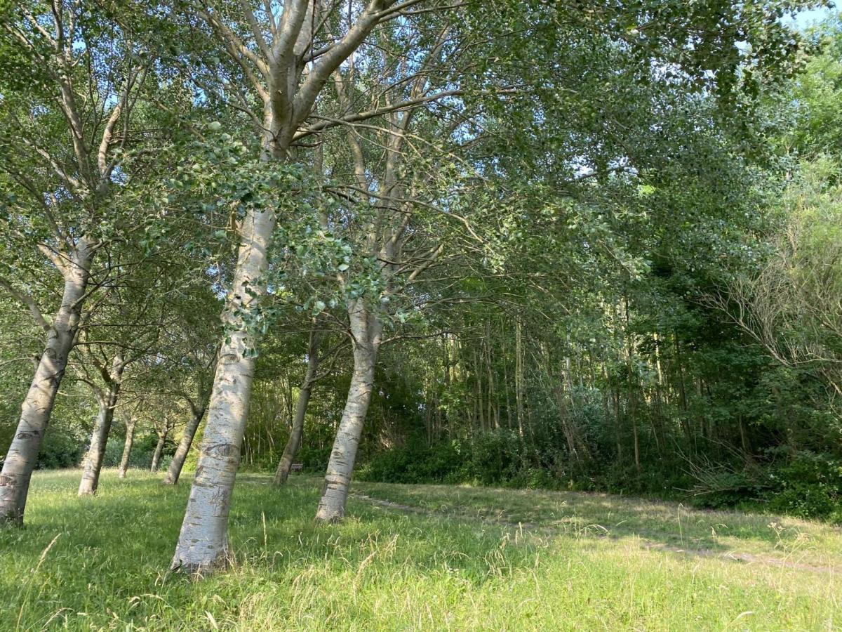 krabbenkreek 2 Villa Sint Annaland Kültér fotó
