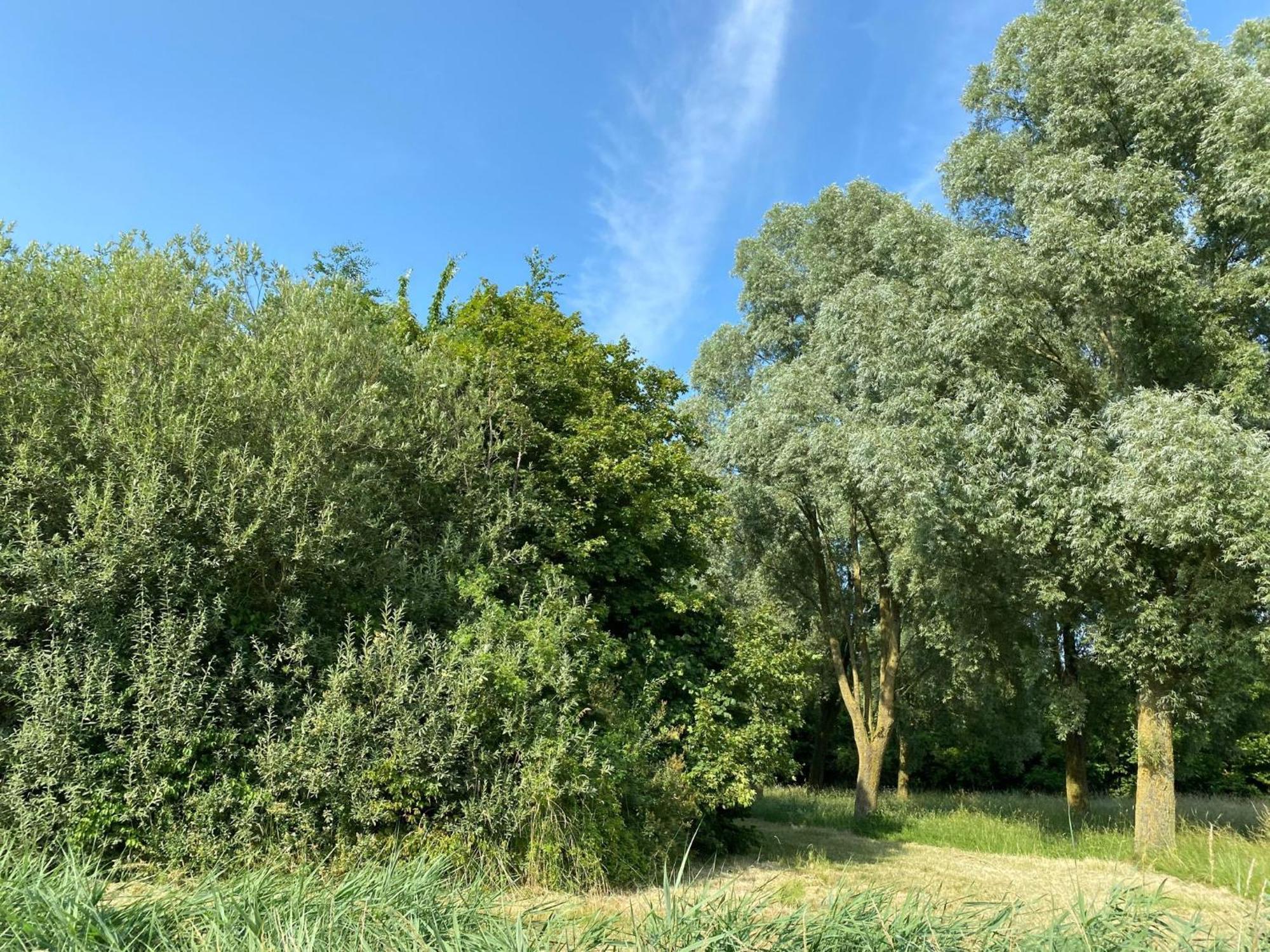 krabbenkreek 2 Villa Sint Annaland Kültér fotó