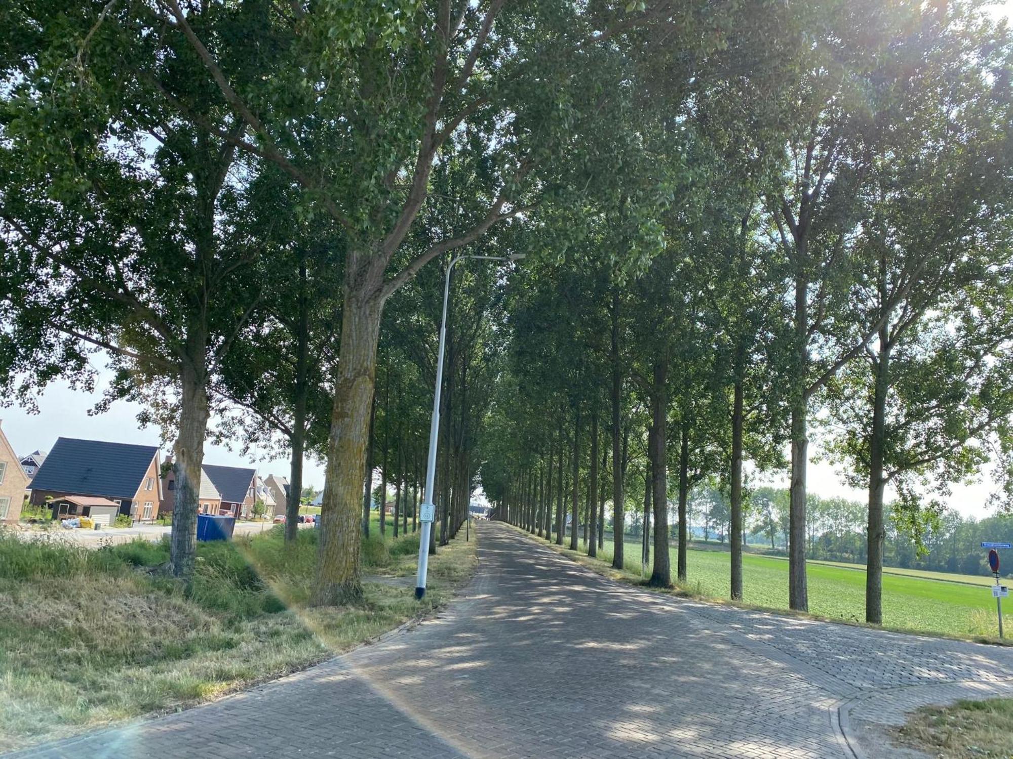 krabbenkreek 2 Villa Sint Annaland Kültér fotó