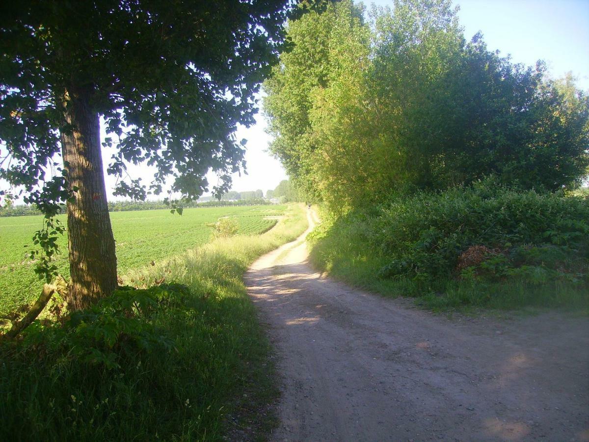 krabbenkreek 2 Villa Sint Annaland Kültér fotó